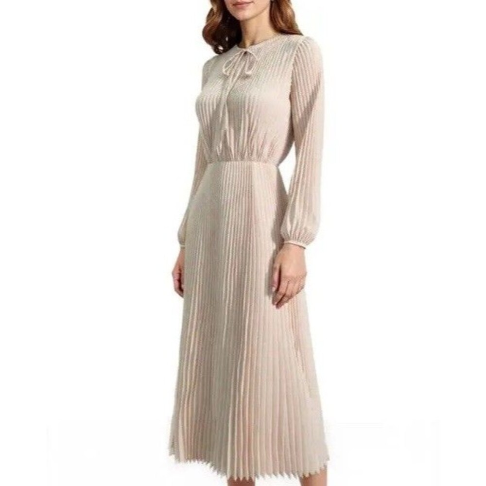 Mila Mae Chiffon Maxi Dress Long Sleeve Size Large Pleated Shimmer Classic Gown